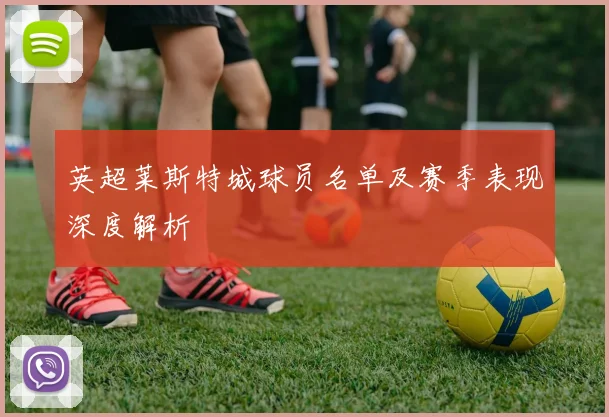 英超莱斯特城球员名单及赛季表现深度解析