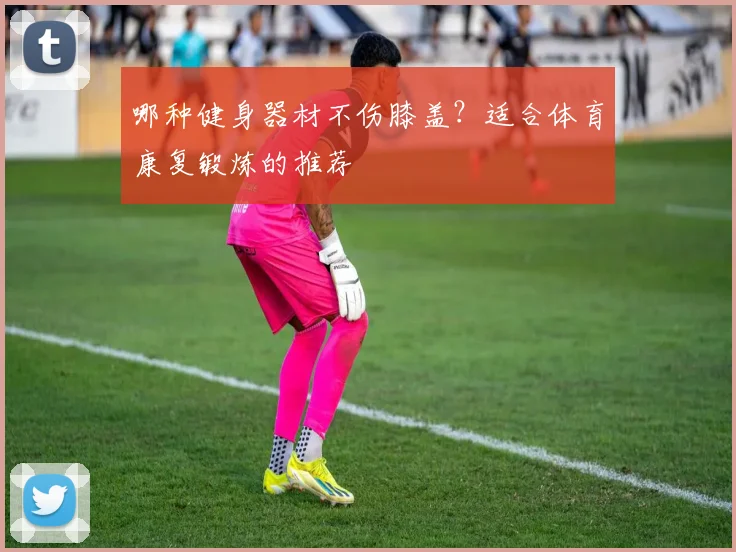 哪种健身器材不伤膝盖？适合体育康复锻炼的推荐